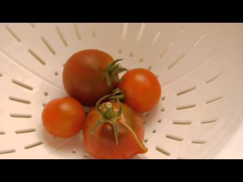 Update On My Tomatoes In GrowBags And Potatoes In Grow Bags - What To Do With The Last Tomatoes