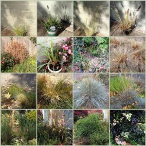 Mosaic Monday - October 24