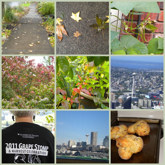 Mosaic Monday - October 3