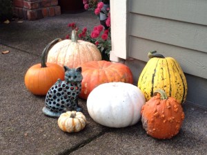 My Pumpkin Collection