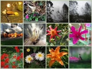 First Mosaic Monday Of 2012