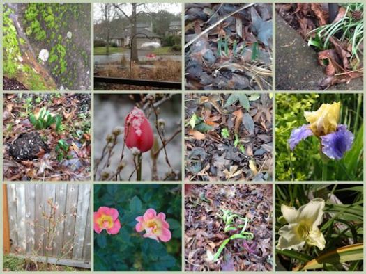 Mosaic Monday - 1-30-12