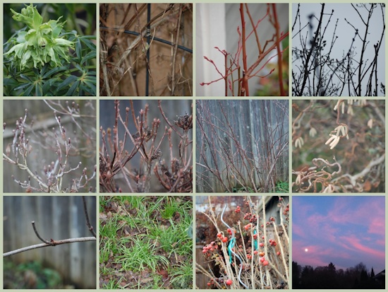 Mosaic Monday And Signs Of Life