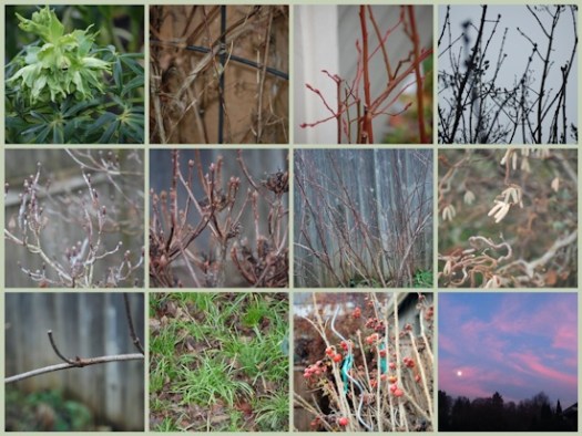 Mosaic Monday And Signs Of Life