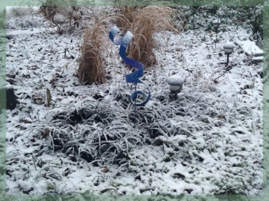 Black Mondo Grass And Miscanthus In Snow