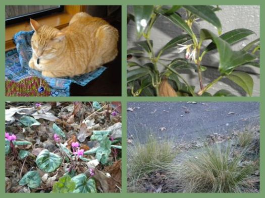 Mosaic Monday 2-6-12a