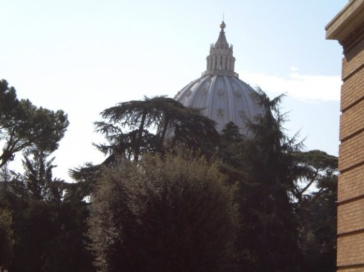 St Peters Bassilica Thru Vatican Trees