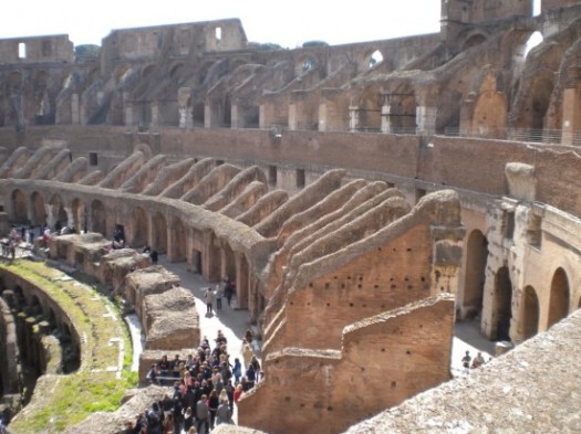 Grasses In Floor Of Roman Colliseum